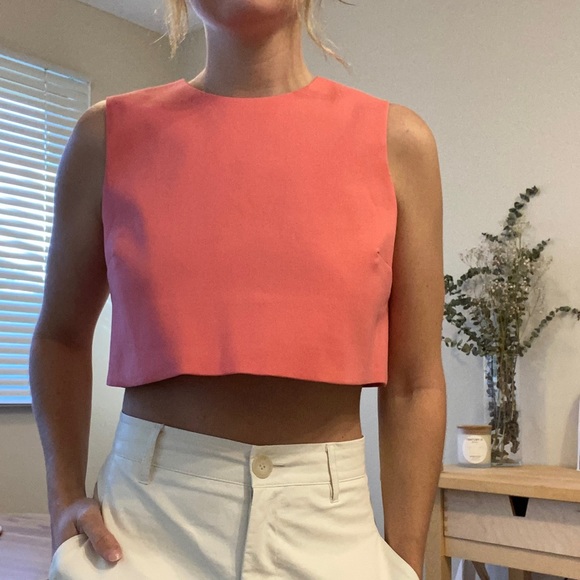Zara Tops - ✨Zara ✨Crop Pink Button Back Work Shirt